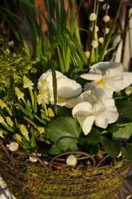 plantering